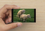 YouGotCarded.com: WTF?!  *["No, no... They're just HUGGING!"