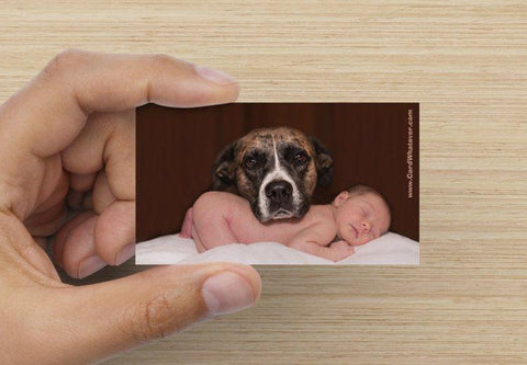 Daily Dose of Cuteness - Dog and Baby
