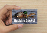 YouGotCarded.com: WTF?!  *["No, no... They're just HUGGING!"