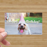 Happy Birthday!