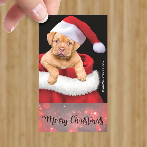 Merry Christmas!