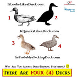 (Answer/Solution/SPOILER) How Many Ducks Can YOU See?