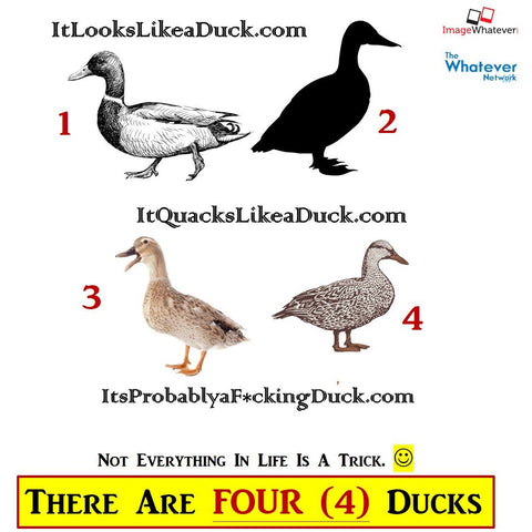 (Answer/Solution/SPOILER) How Many Ducks Can YOU See?