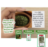 CILANTRO by Mail?!? Because some people HATE CILANTRO (but LOVE Telling Us About It!)