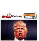 mp3: How to Keep an Idiot Entertained (MP3 Download)