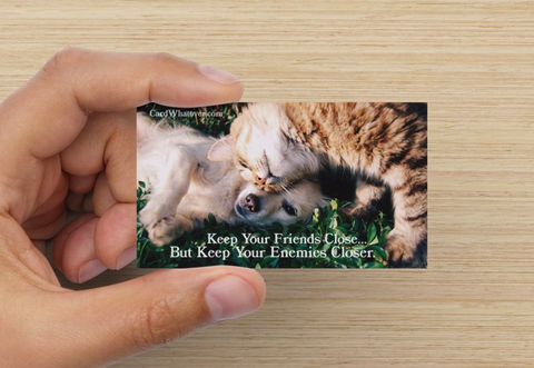 Keep Your Friends Close, But Keep Your Enemies Closer