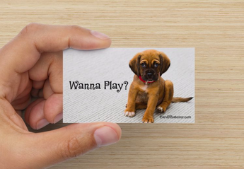 WYD? - Puppy
