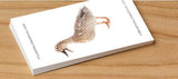 It Looks Like A Duck... It Quacks Like A Duck...