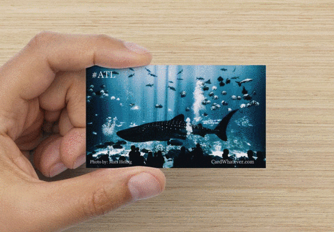 The ATLANTA City Cards Collection - Full Set - #ATL