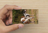 YouGotCarded.com: WTF?!  *["No, no... They're just HUGGING!"