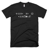 WingDing "This Is A Shirt." T-Shirt