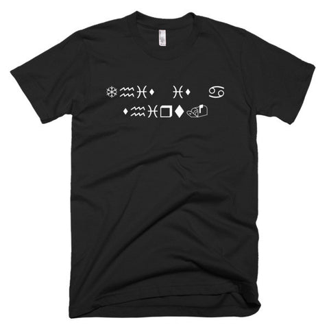 WingDing "This Is A Shirt." T-Shirt