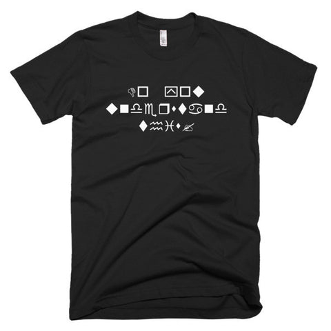 WingDing "Do You Understand This?" T-Shirt