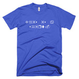 WingDing "This Is A Shirt." T-Shirt