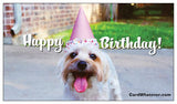 Happy Birthday!