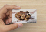 YouGotCarded.com: WTF?!  *["No, no... They're just HUGGING!"