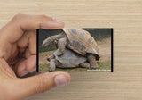 YouGotCarded.com: WTF?!  *["No, no... They're just HUGGING!"